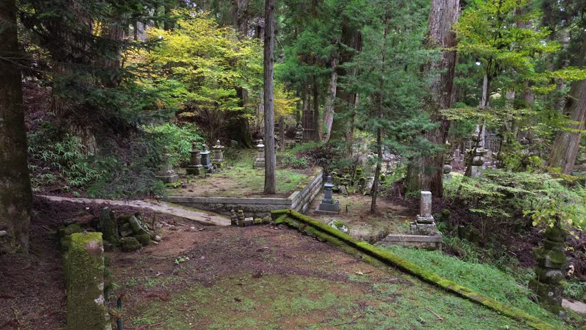 JAPANESE-CEMETERY Footage, Videos and Clips in HD and 4K - Avopix.com