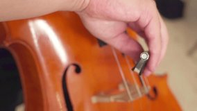 close up musician hands playing cello	