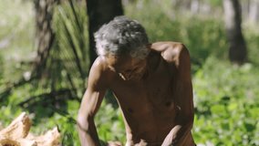 A muscular old man peels and separates the coconut husk from the coconut shell to produce copra, as a raw material for the production of virgin oil 4k video