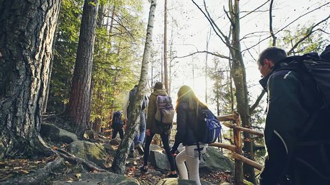 Group of friends hiking in mountain forest
