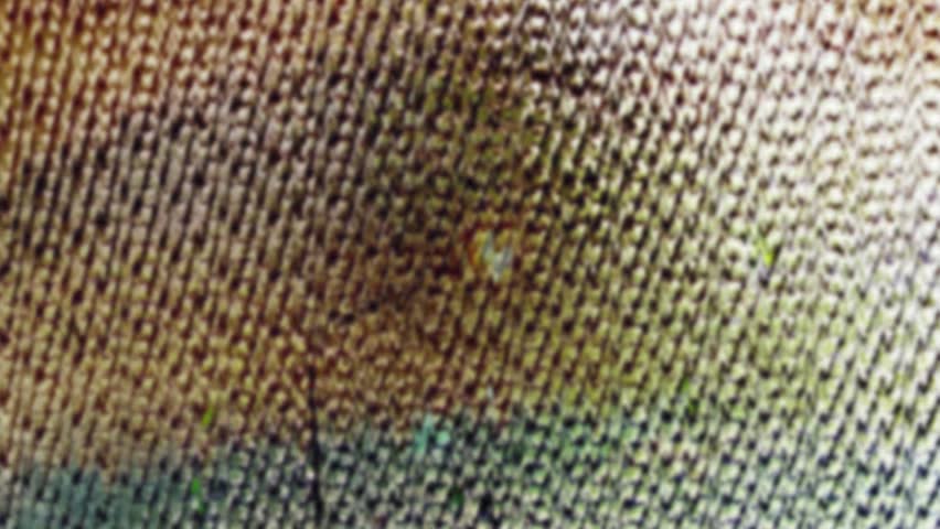 Abstract wave background, mosaic abstarct background