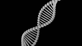 DNA molecule from particles isolated on white background. Abstract white DNA rotating animation. Science and medicine concepts. Seamless looping animation of rotating DNA - Powered by Shutterstock - Get 15% off with code: PIKWIZARD15