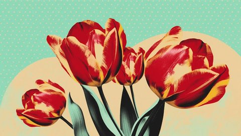 Retro animation of tulips with stop motion collage style, halftone texture with a vintage impression: stockvideo