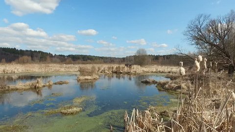 Hut on Spring Bog