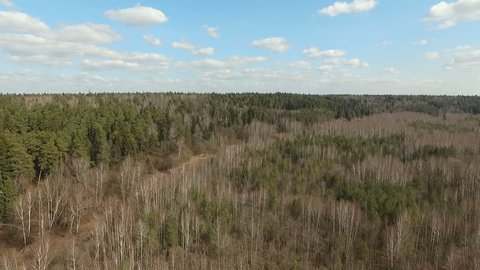 Spring Mixed Forest