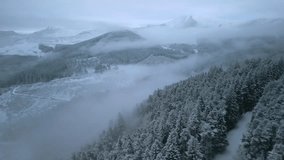 Snowy forest hillside with misted valley and distant white mountains. Early morning. Whinlatter Forest, English Lake District, Cumbria, UK. - Powered by Shutterstock - Get 15% off with code: PIKWIZARD15