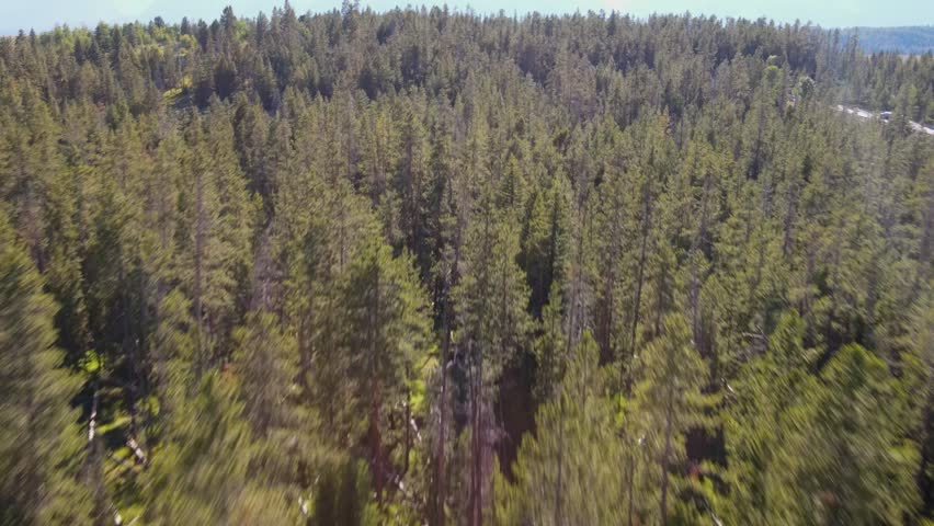 A 4K drone shot showing the beautiful landscape of Grand Teton National Park in Wyoming. The camera begins moving low along the tree line, then slowly pans up, revealing the Teton mountain range.