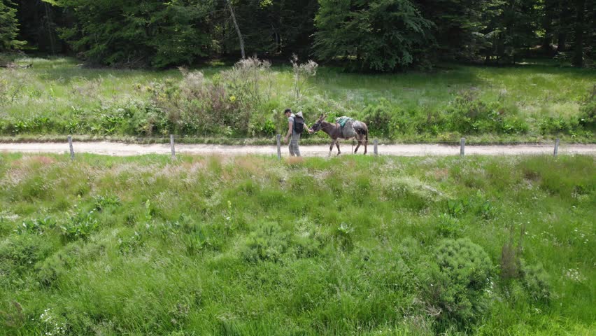 Young Man With Donkey Walking On the Hiking Trail. - aerial pullback shot