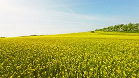 A drone flies across a flower farm, gliding past an irrigation reel in the field against the backdrop of a vast, sunny landscape - Powered by Shutterstock - Get 15% off with code: PIKWIZARD15