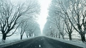Winter landscape with snowy road and trees, 4k footage video