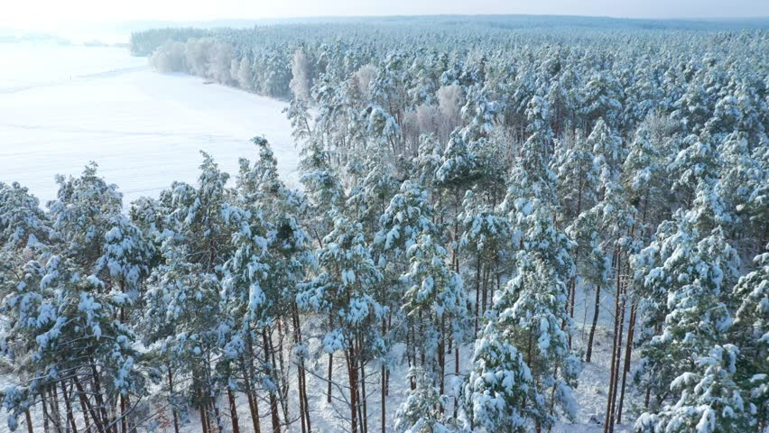 Winter forest from above. Snowy tree tops in frozen landscape. Wood is a natural resource of energy.