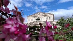 Quadriga sculpture on facade of Bolshoi Theatre building in Moscow in the background. Blurred magenta (orpurple) apple flowers in the foreground. Soft focus. Slow motion video. Russian culture theme