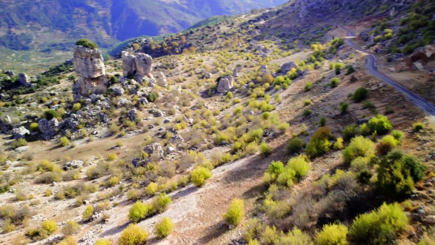 Green forest surrounds sheer canyon cliffs, offering panoramic mountain majesty. Canyon panorama with high mountains and lush woods. Wild nature and mountain ranges viewed in canyon panorama