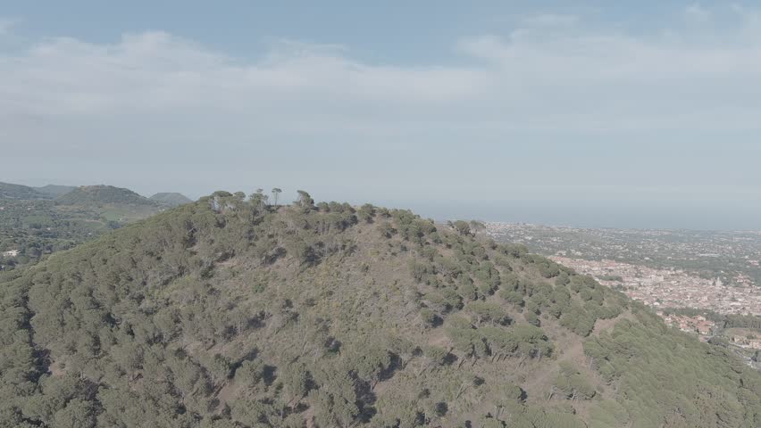 Nicolosi, Sicily, Italy. Volcanic cones overgrown with dense pine forest rise on the southern slopes of Mount Etna, captured in a smooth aerial forward push that reveals the full scale of the terrain. The twin crater formations known as Monti Rossi dominate the foreground, their forested slopes contrasting with the reddish-brown urban fabric of Nicolosi and the distant blue line of the Ionian Sea. These cones were created during the historic 1669 eruption, one of Etna