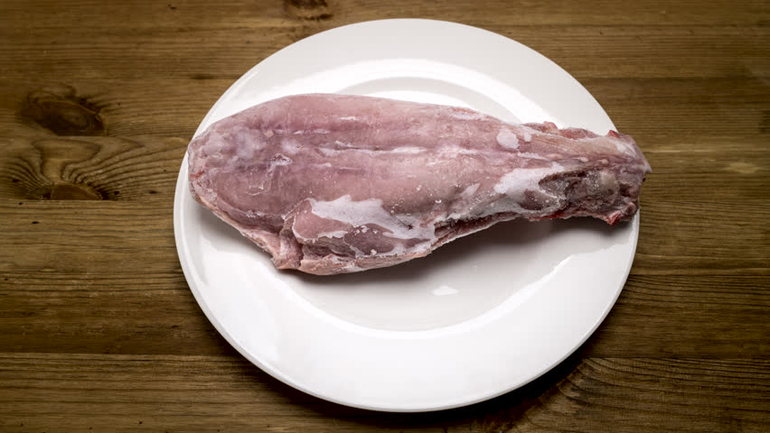 Time lapse thawing process of frozen rabbit on a white plate Royalty-Free Stock Footage #3393187099