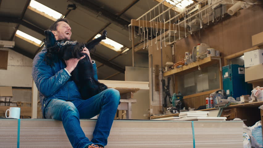 Male carpenter taking a break sitting in doorway of woodwork or joinery business premises playing with pet Spaniel - shot in slow motion
