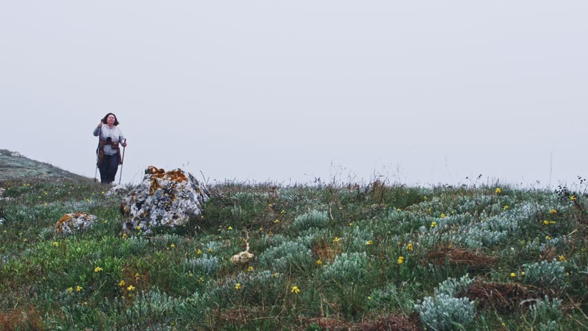 A fat woman with Nordic walking sticks walks briskly up a hillside against the backdrop of a mountain range in the fog. Health Recovery Program. Exercise and active lifestyle. Hiking