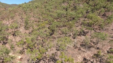 Aerial footage of dry rocky outcrops near Mareeba, Queensland, Australia.