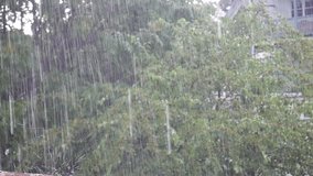 This is the video of a heavy rain.