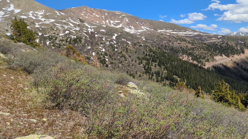 Valley of the Roaring Fork River and Linkins Lake viewed from Linking Lake Trail near Independence Pass (Continental Divide) on the Rockies National Scenic and Historic Byway (Aspen, Colorado, USA)