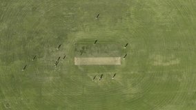 Drone, field and cricket with sports, or and timelapse with exercise, fitness or competition in summer. Above pitch, athlete people and contest for international test match, games or action in India - Powered by Shutterstock - Get 15% off with code: PIKWIZARD15