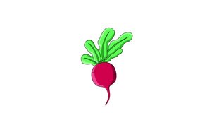 animated video of the red radish icon