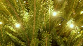 Christmas Tree Close-Up Illuminated Lighting