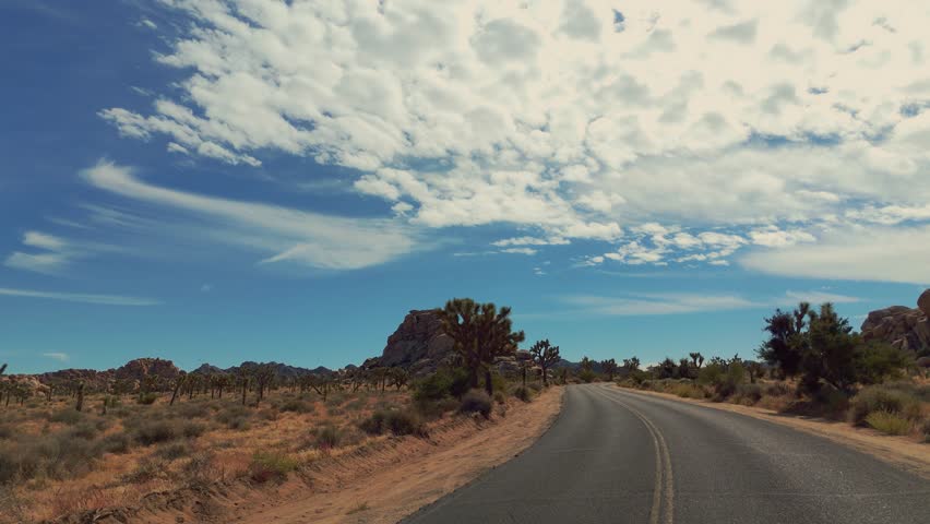 Driving through Joshua Tree National Park in California, USA. Natural Wild West Mojave Desert.