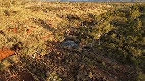 Green oasis in middle of Australian desert, Karijini in Western Australia. Aerial drone view