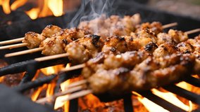 Chicken satay is grilled over an open fire with hot coals and smoke coming out , footage, 4k footage, short video
