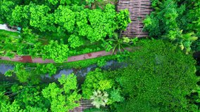 From above, the Beautiful green forest in springtime is a sight to behold