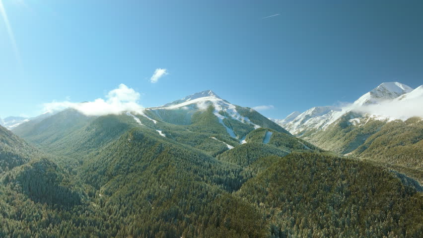 Aerial view of ski tracks in winter. The ski runs traverse through fir forests beneath snow-capped mountain peaks in sunny morning. Ideal footage for winter sports-themed projects. Royalty-Free Stock Footage #3393949951