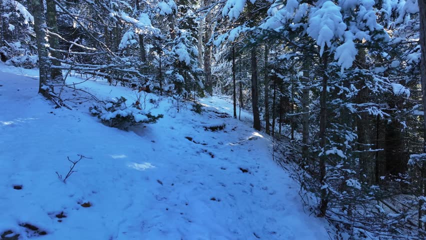 Smooth straight shot going down a snow-covered hiking trail, with hiking footprints in the snow and sun shining through the trees. (Sussex New Brunswick Canada)