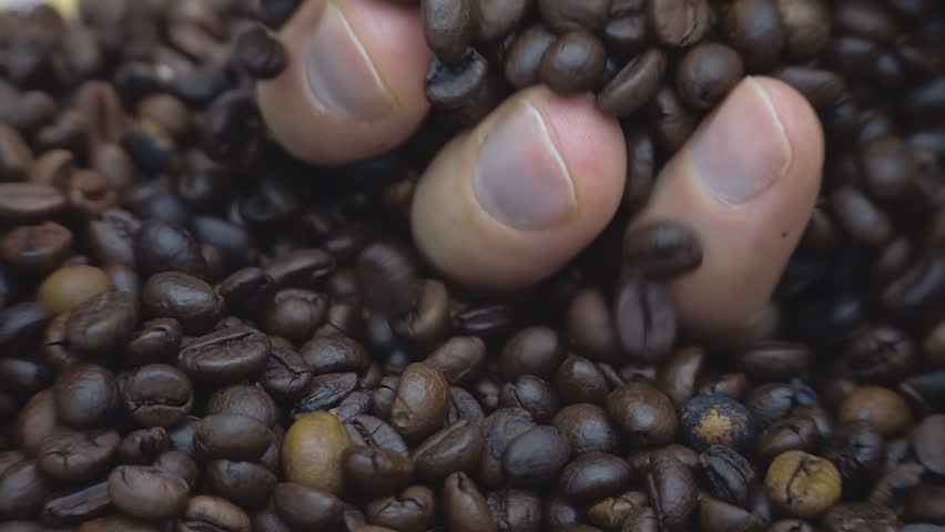 Coffee grains fall on other coffee beans. Closeup. Slow mo, slo mo, slow motion, high speed camera, 240fps, 250fps
