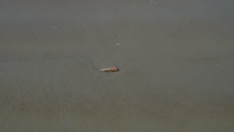 Mercury Ii Fulminate Or Hg Cno 2 Explodes の動画素材 ロイヤリティフリー Shutterstock