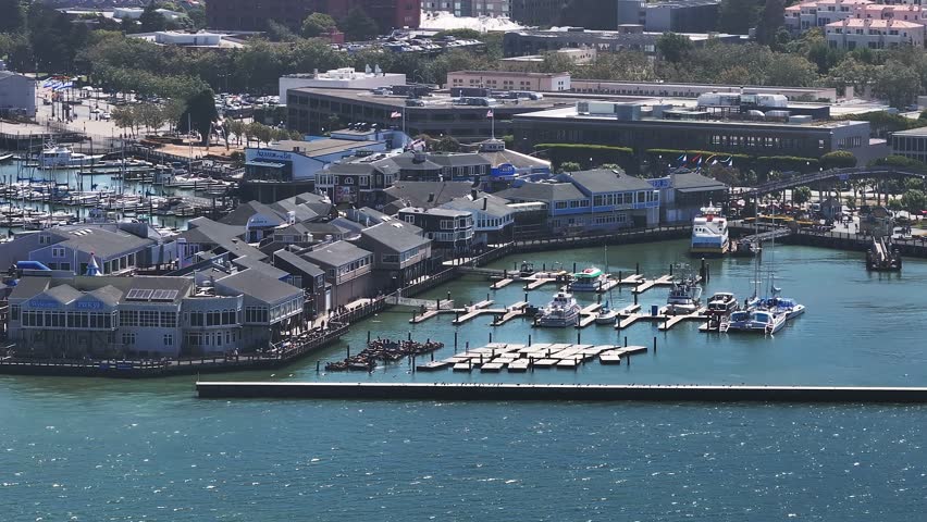 Aerial view of the San Francisco bay near down town and many piers with yachts. 