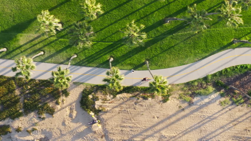 Overhead shot of man riding fast on bicycle on road of Santa Barbara street, California, USA. Top view of male rider training on bike along coast with palm trees. Summer sport activities, 4k footage 