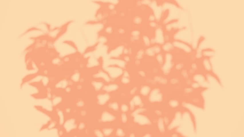 Blurred Tree Branch Abstract Silhouette. Floral Peach Fuzz Colored Wall Background. Transparent Shade of Tropical Leaves. Plant Shadow Motion. Natural Backdrop. Color of Year 2024 Trend Overlay Effect Royalty-Free Stock Footage #3394445823