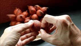Footage of Hand Peeling a Delectable Snakeskin Fruit