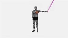 Exercise fitness exercise workout animation male muscle highlight demonstration at 4K resolution 60 fps crisp quality for websites, apps, blogs, social media etc.