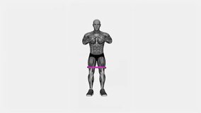 Exercise fitness exercise workout animation male muscle highlight demonstration at 4K resolution 60 fps crisp quality for websites, apps, blogs, social media etc.
