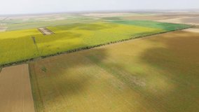 Fields with different agricultural crop types, aerial video, drone point of view