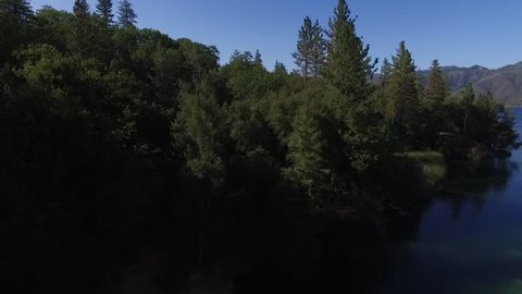 Ascending over the trees at Whiskeytown lake.