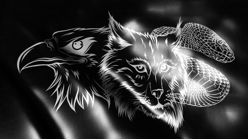 flag in loop of Lynx Wildcat eagle snake Logo Mascot silhouette in black background