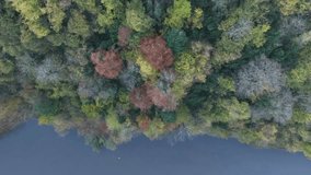 Autumn Season in the Suluklugol Drone Video, Sülüklügöl Lake Sakarya- Bolu, Turkey (Turkey)