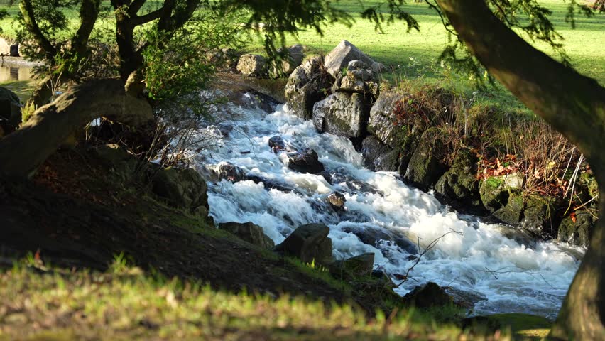 Water flowing in River Wye, Buxton, England. Grassy park with stream, relaxing nature in 4K Royalty-Free Stock Footage #3395390371