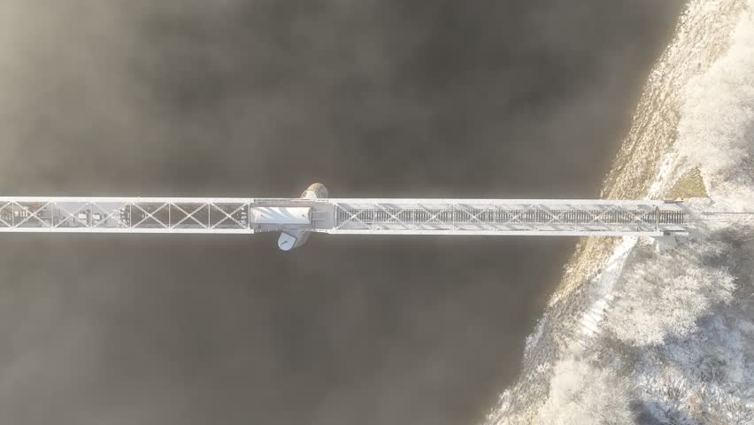 Foggy Birds