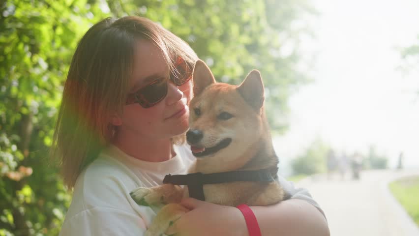 Portrait of pretty young woman with shiba inu in the pak. Japan dog with owner. shiba inu, hachiko, japanese dog, puppy in nature, dog true friend Royalty-Free Stock Footage #3395441613