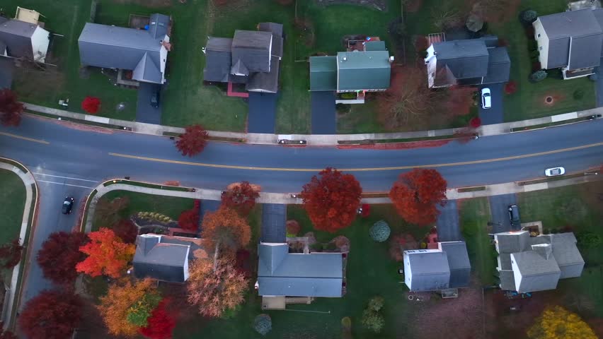 Suburb street during autumn in USA. Top down aerial shot of car driving past homes in neighborhood with colorful trees.