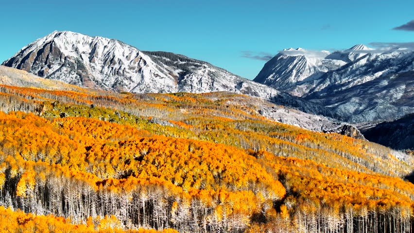 Kebler Pass aerial cinematic drone morning light Crested Butte Gunnison Colorado seasons crash early fall aspen tree red yellow orange forest winter first snow Rocky Mountain peaks circle right motion Royalty-Free Stock Footage #3395528603